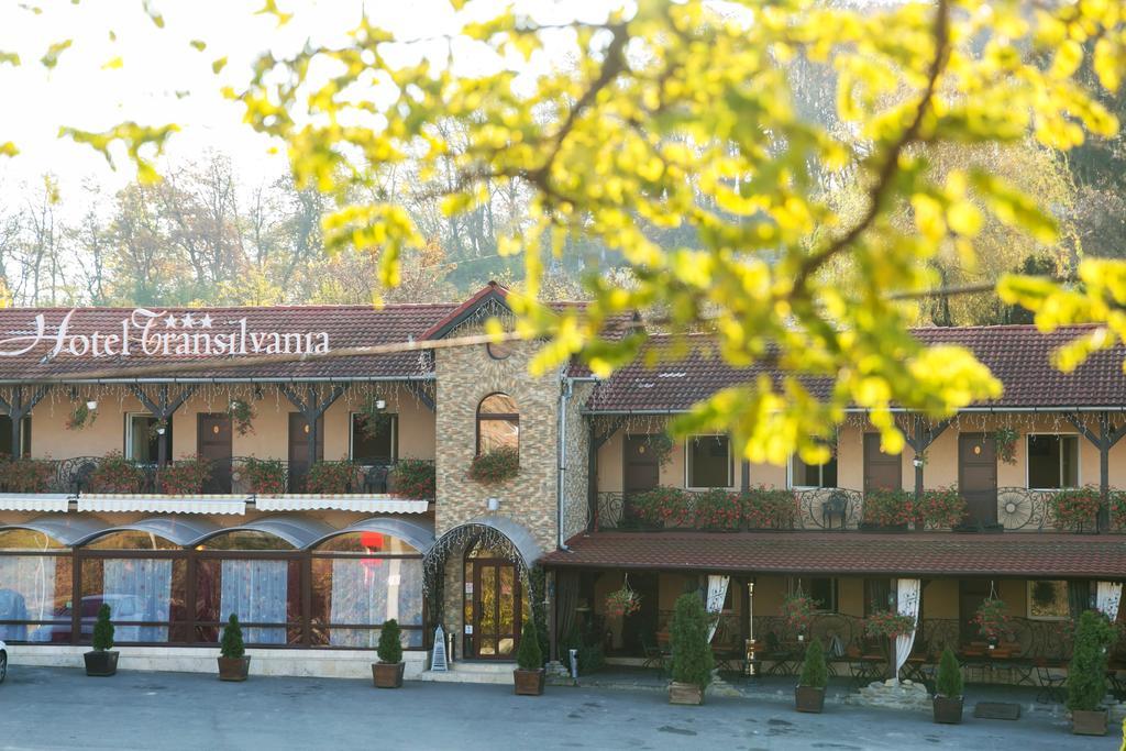 Hotel Transilvania Segesvár Kültér fotó